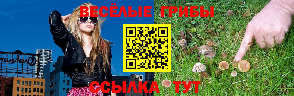Псилоцибиновые грибы ЛСД Коркино